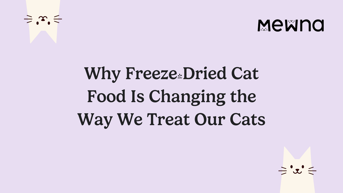 Why Freeze-Dried Cat Food Is Changing the Way We Treat Our Cats