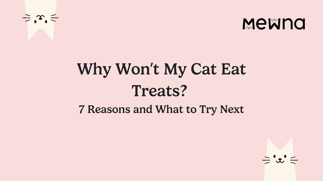 Why Won't My Cat Eat Treats? 7 Reasons - and What to Try Next