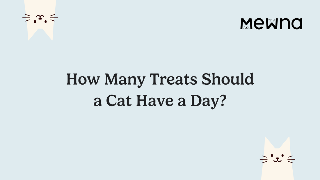 How Many Treats Should a Cat Have a Day?